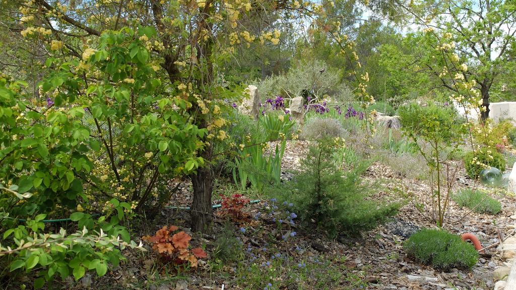 Les Hauts Des Materonnes Tourves Εξωτερικό φωτογραφία