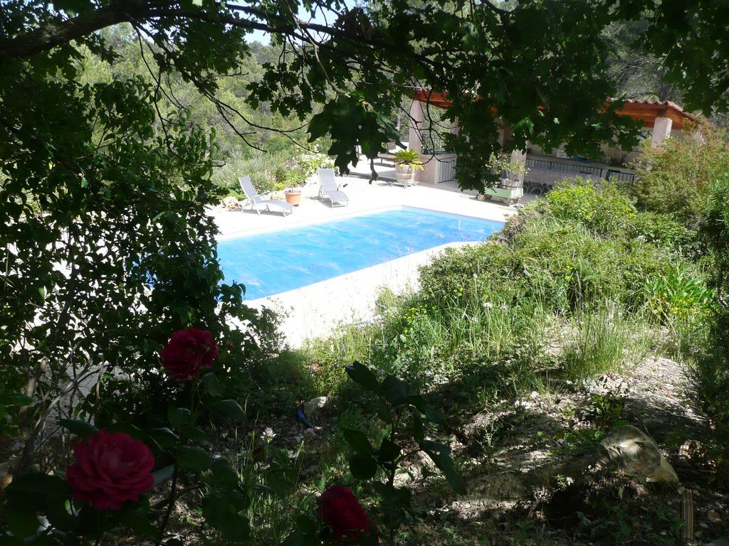 Les Hauts Des Materonnes Tourves Εξωτερικό φωτογραφία